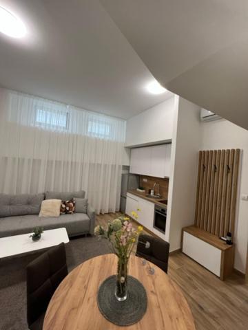 Ferienwohnung Centar Ns 5 Novi Sad Exterior foto