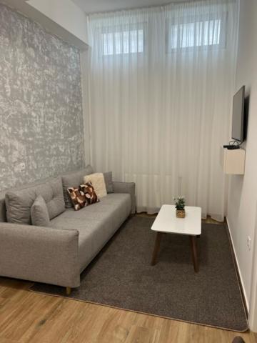Ferienwohnung Centar Ns 5 Novi Sad Exterior foto