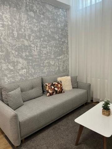 Ferienwohnung Centar Ns 5 Novi Sad Exterior foto